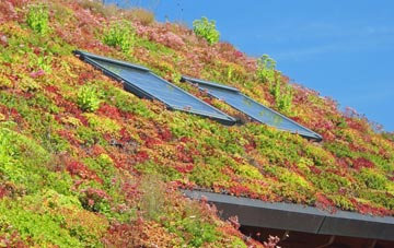 Farley Green living roof systems