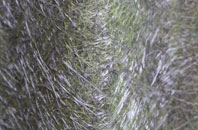 Farley Green fibreglass roof work